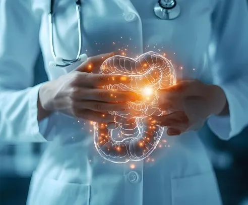 Gut health icon, gastroenterology and digestive services